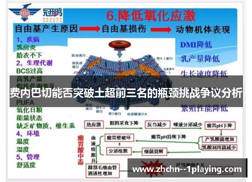 费内巴切能否突破土超前三名的瓶颈挑战争议分析 费内巴切能否突破土超前三名的瓶颈挑战争议分析